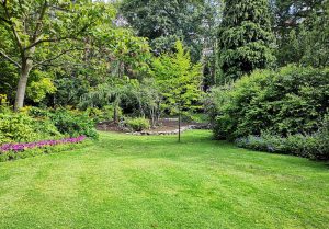 Optimiser l'expérience du jardin à Uxegney